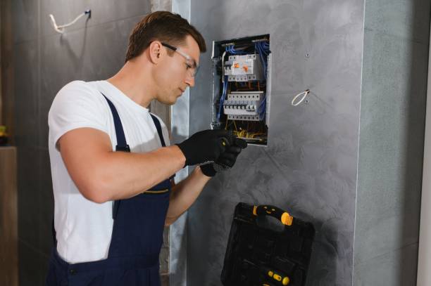Best Electric Panel Repair  in Hemlock, MI