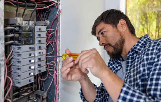 Best Electrician for Home Renovation  in Hemlock, MI